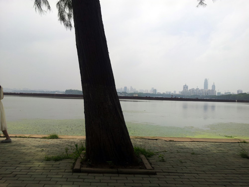 20140706-sg (04)